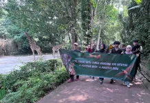 120 Karyawan Lama Dipertahankan, Perawatan 600 Satwa Bandung Zoo Terus Berjalan