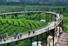 Punclut Kian Jadi Favorit Wisata di Bandung