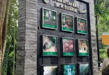 Hari Hutan Indonesia, Pengingat Keberlangsungan Hutan
