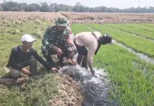 Pendampingan Pompa Air , Upaya TNI Jaga Produktivitas Patani