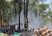 Kebakaran Lahan Hijau di Cimahi, Diduga Dipicu Pembakaran Sampah