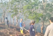 Hektaran Lahan Diduga dari Pembakaran Sampah Perkebunan Warga Terbakar
