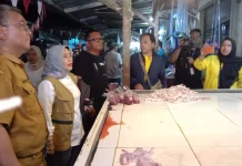 Dampak Kemarau Panjang, Harga Kepokmas di Subang Mulai Merangkak Naik