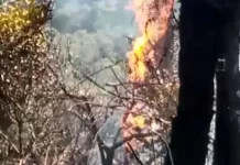 Kawasan Taman Nasional Gunung Gede Pangrango Masih Terpantau Ada Titik Api