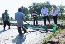 Kota Tasikmalaya Mulai Program Tanam Padi Sistem Modern, Diky : Terus Dimaksimalkan