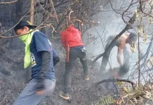 Asap Terpantau Kembali Muncul di Kawah Wadon