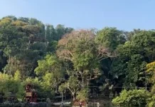 Situ Cipanten, Destinasi Wisata Menarik di Majalengka