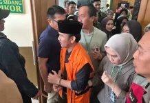 Amicus Brief 9 Akademisi: OTT Ade Kuswara Dinilai Tak Penuhi Ketentuan Hukum