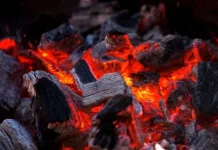 Jenis Arang Terbaik untuk Memanggang