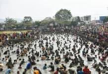 Kemeriahan Warga Turun ke Kolam Al Kamil untuk Ngagogo Ikan