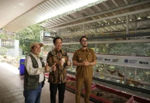 KBB Kembangkan Ekonomi Sirkular Berbasis Maggot dan Peternakan Unggas