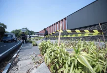 Pemkot Bandung Segera Tanam Kembali Pohon di Jalan R.E. Martadinata