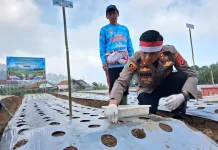 Dukung Swasembada Pangan Polisi Bantu Tanam Bawang Putih