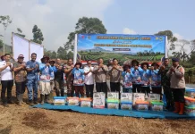 Subang Ikut Tanam Bawang Serentak di 17 Provinsi, Dukung Swasembada Pangan