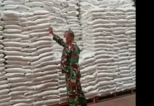 Cek Gudang Bulog, Babinsa Koramil Subang Pastikan Kualitas Beras Terjaga