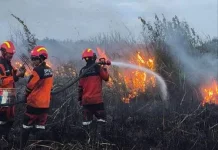 Tagana Subang Terlibat Tangani Karhutla dan Pemukiman Aelama Kemarau Panjang