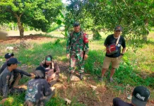 Cegah Kebakaran Lahan, Babinsa Pagaden, Imabu Petani Tidak Bakar Jerami