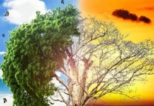 Tips Menjaga Kesehatan saat Cuaca Berubah