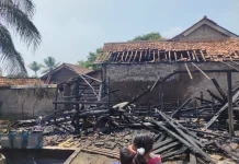 Dampak Lalai Membakar Jerami Kandang Domba Terbakar