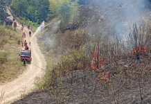 Diduga Dipicu Puntung Rokok, Lahan Alang-Alang di Cireundeu Cimahi Terbakar