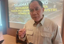 Tanjung Priok Hampir Overload, BHS Minta Pelabuhan Patimban Dioptimalkan