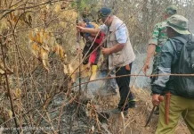 Hektaran Lahan Perhutani di Pakenjeng Terbakar