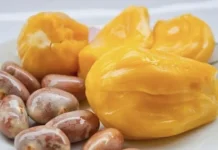 Biji Nangka ternyata Mengandung Banyak Nutrisi Penting untuk Kesehatan Tubuh