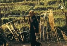 Tradisi Mitembeyan Dibuat: Syukur sebelum Panen