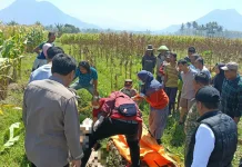 Warga Leles Dikagetkan Penemuan Mayat Perempuan di Kebun Jagung