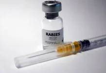 Dispangtan Cimahi Siapkan 1.400 Vaksin Rabies Gratis, Anjing Liar Ikut Jadi Sasaran