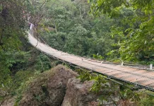 Jembatan Gantung di Pangandaran Roboh saat Bupati dan Rombongan Coba Melintas