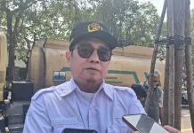 DPKP Bandung Perketat Pengawasan Pohon untuk Cegah Penebangan Ilegal