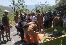 Pelaku Aniayaya Korbannya hingga Tewas Diamankan Polisi