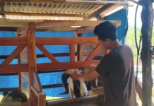Dari Napi Jadi Bos, Kisah Galih Bangkit Berkat Pesan Kalapas Ciamis