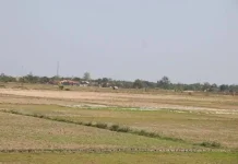 7.267 Hektar Sawah di Subang Terancam Kekeringan akibat Kemarau Panjang
