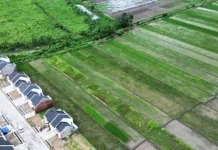 Larang Alih Fungsi!? Pemerintah Harus Hadir Lindungi Petani