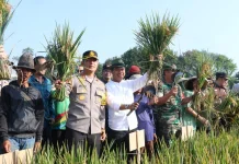 Bupati Bebaskan PBB untuk Sawah yang Masuk LP2B