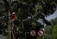 Pemkot Bandung dan PLN Petakan Titik Rawan Kabel Listrik Dekat Pepohonan
