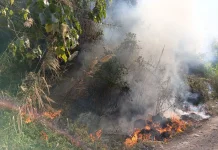 Enam Titik Lokasi Hutan di Rancabango Garut Terbakar