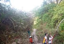Kebakaran Hutan dan Lahan di Garut Naik 1700 Persen