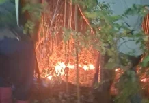Lahan Ilalang di Desa Margasari Dawuan Subang Terbakar, Diduga Ini Pemicunya
