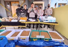 150 Kg Tembakau Sintetis Diamankan, Polres Cimahi Klaim Selamatkan 627 Ribu Jiwa