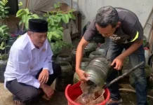 Panen “Sule”, Diky Candra : Upaya Kecil Tingkatkan Sektor Gizi Masyarakat