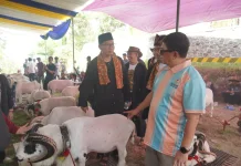 Adu Ketangkasan, HPDKI : Dongkrak Harga Jual Domba