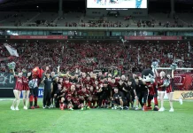 Mengenal FC Seoul, Penguasa Korea Selatan yang Akan Persib Lawan di ACL 2