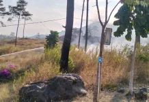 Kebakaran di Kaki Gunung Guntur Mendekati Pemukiman Warga