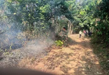 Lahan Ilalang di Kecamatan Dawuan Subang Terbakar