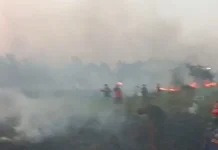 Puncak Kemarau, 3 Titik Kebakaran Lahan Terjadi di Subang dalam Sehari