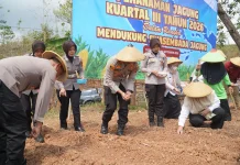 Polres Tasikmalaya Tetap Tanam Jagung Serentak di Lahan 5 Hektar