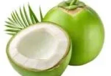 Manfaat Air Kelapa Hijau untuk Kesehatan Tubuh